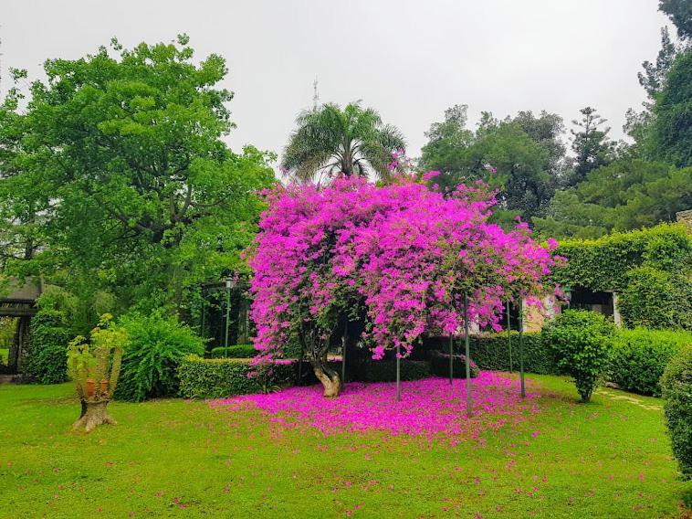 Terrazas Parana Villa Exterior photo